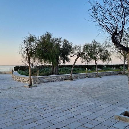 B&B San Michele Cagnano Varano Ngoại thất bức ảnh